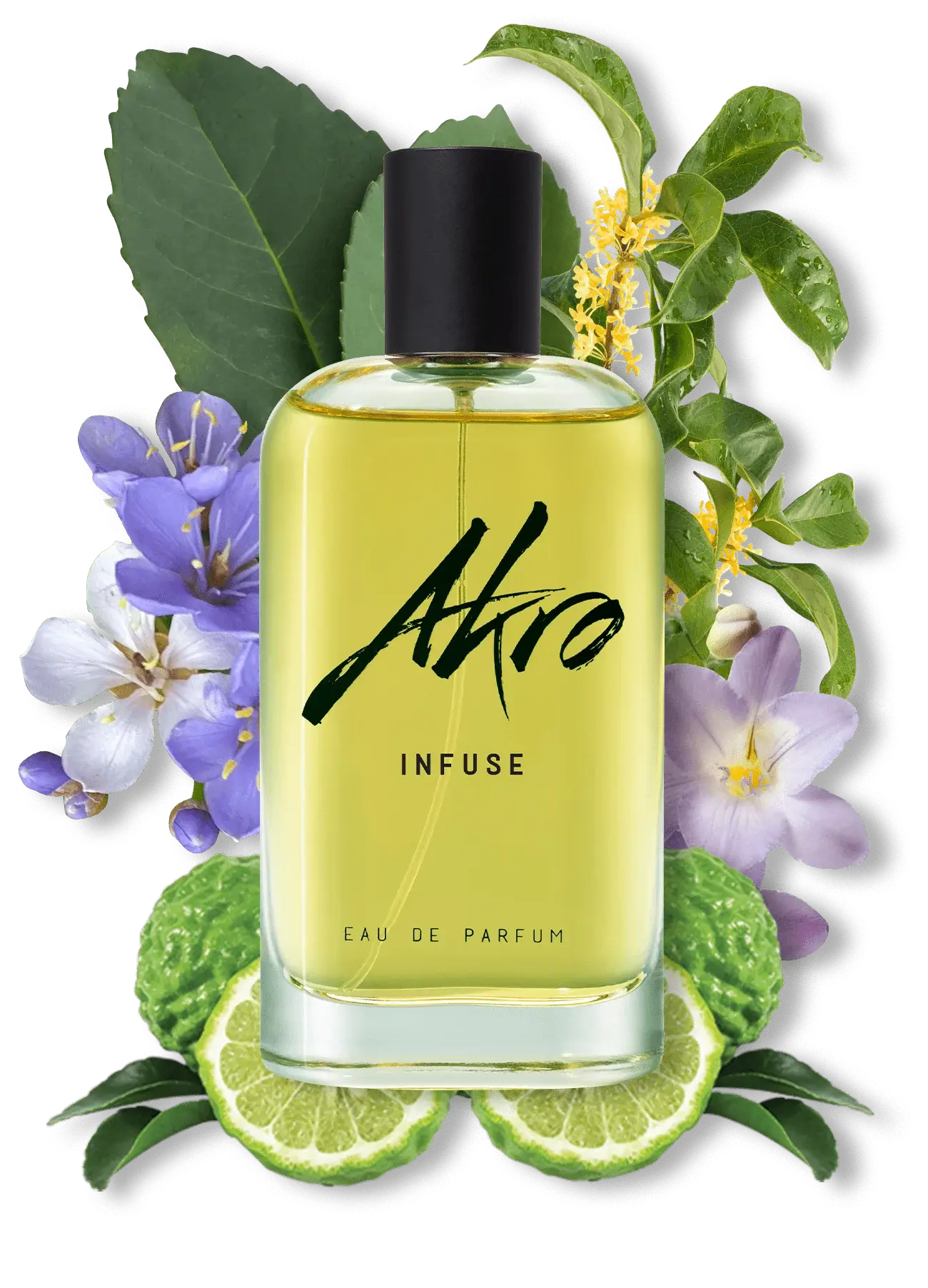 INFUSE 100ML
